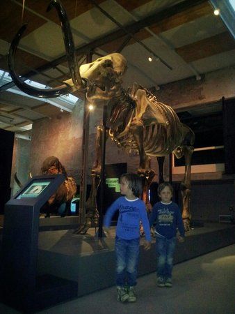 Museum De Museumfabriek