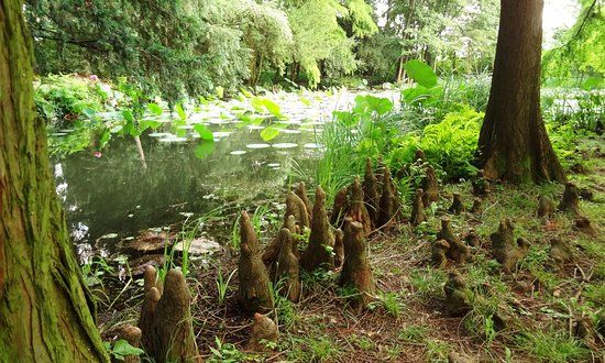 Szegedi Füvészkert