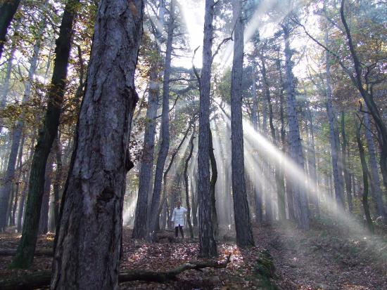 Lővér Kalandpark Sopron
