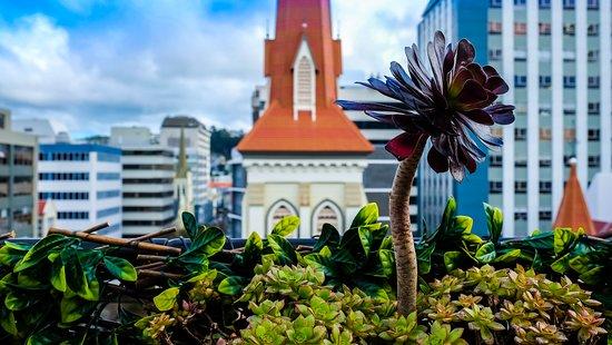 The Arborist Rooftop Bar & Eatery