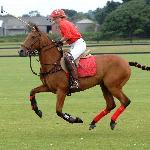 Felsenheuriger Wolfgang Freudorfer