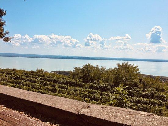 Rozsako Borpince Restaurant