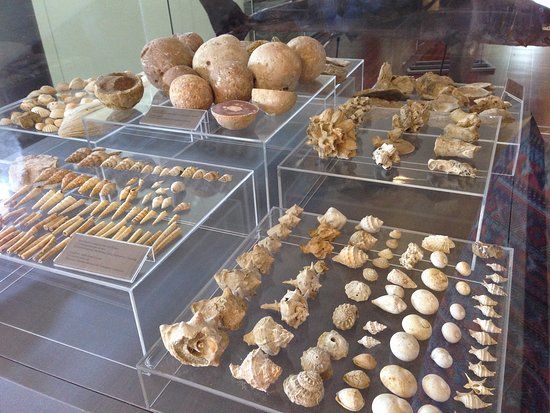 THALASSA Várostörténeti Múzeum