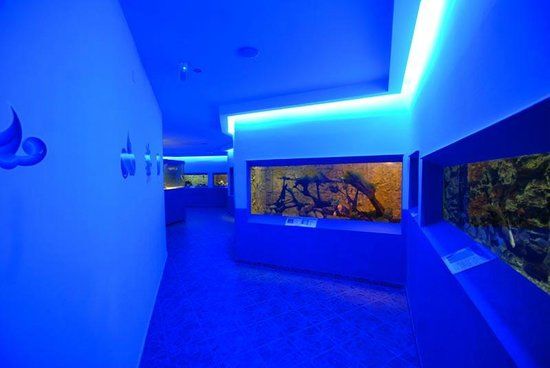 Protaras Ocean Akvárium