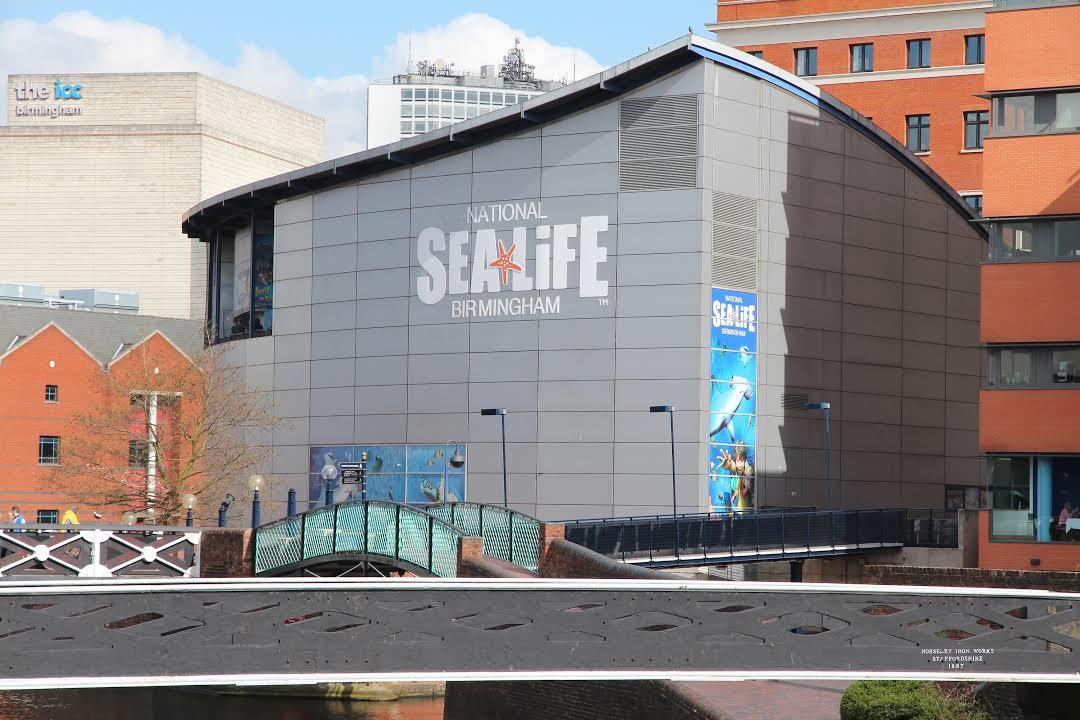 National Sea Life Centre