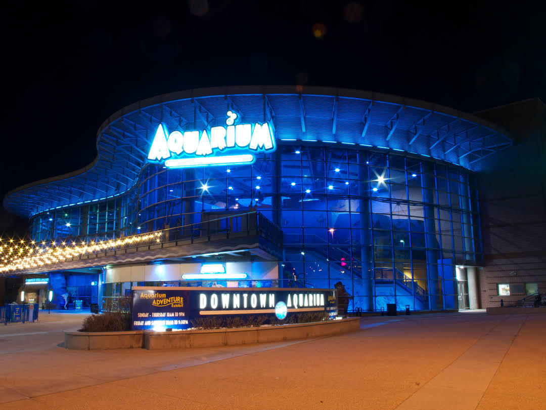 Denveri Belvárosi Akvárium