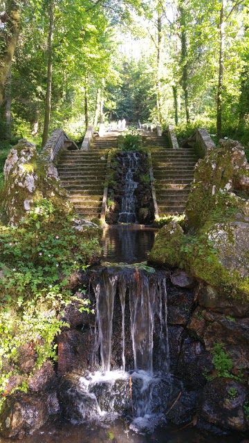 Bussaco Nemzeti Erdőség