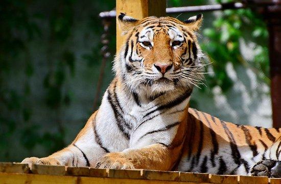 Miskolci Állatkert és Kultúrpark