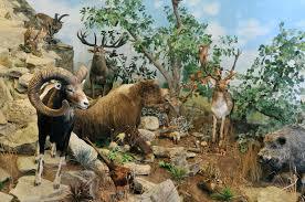 Történelmi modellvasút kiállítás és Vadászati Múzeum