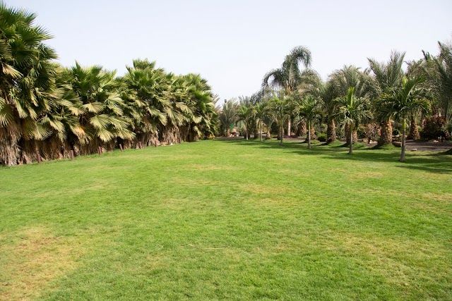 Viveiro Botanikus Kert és Állatkert