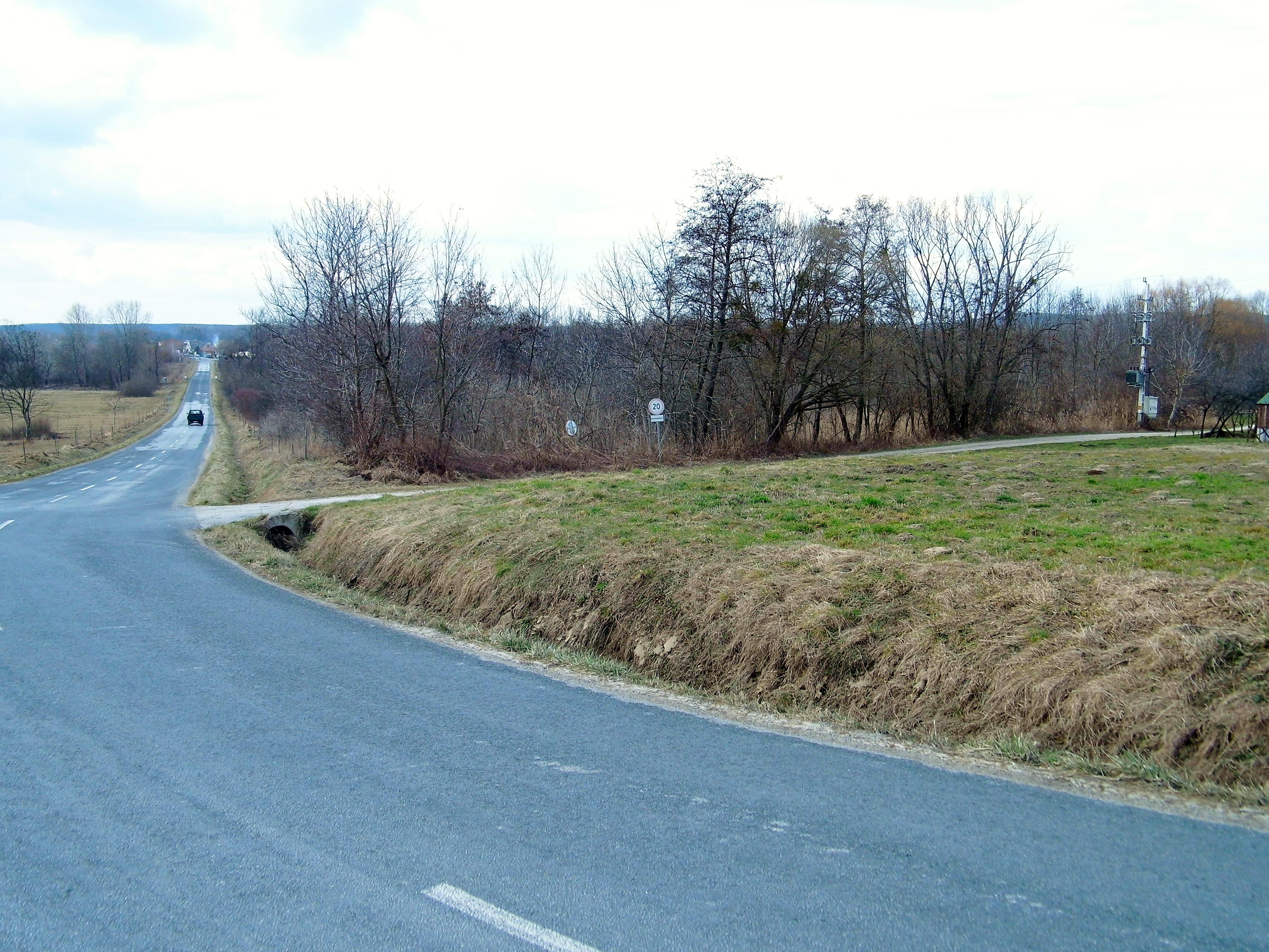 Bakonygyepesi Zergebogláros Természetvédelmi Terület