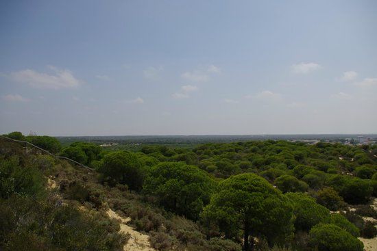 Museo Mundo Marino Matalascanas