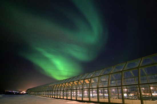 Arktikum tudományos központ és múzeum