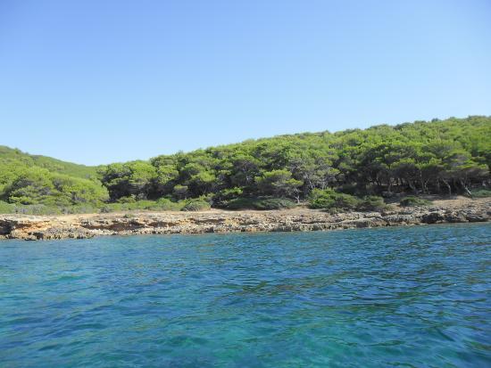 Conte Marina-kikötő