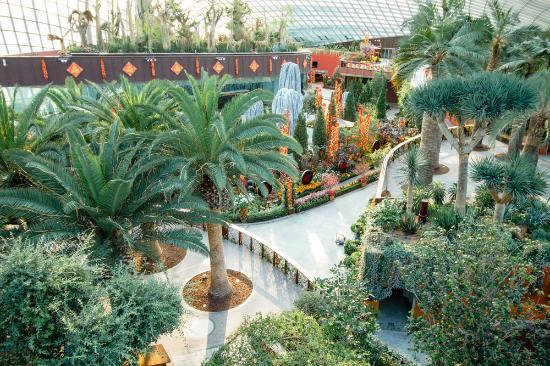 Kertek az öböl mentén