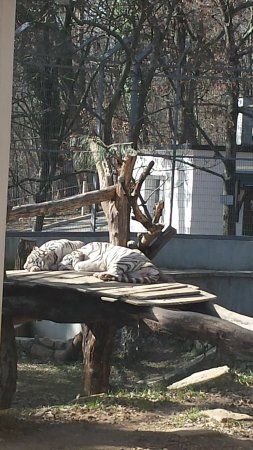 Pécsi Állatkert és Akvárium-Terrárium