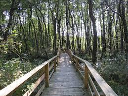 Tatai Fényes Tanösvény