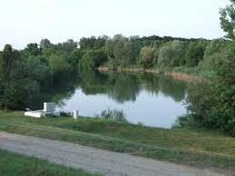 Torzsás-zugi holtág