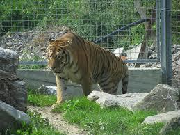 ZOO in Spišská Nová Ves