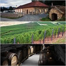 Holdvölgy Pincerendszer