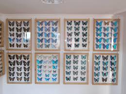 Lepkekiállítás és Ásványkiállítás